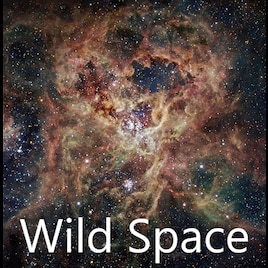 Wild Space [2.8]