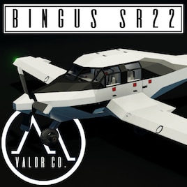 Bingus SR22