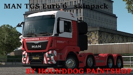 MAN TGS Euro 6 skinpack