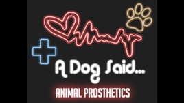 A Dog Said... Animal Prosthetics